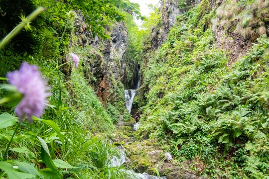 Tour image 5