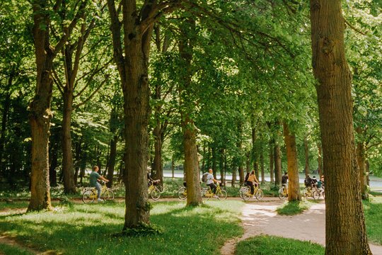 Tour image 6